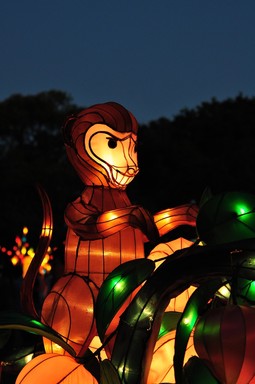  Lantern Festival 2009, Albert Park